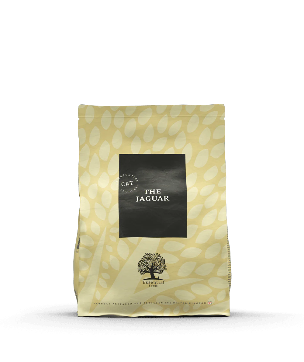 Essential - The Jaguar