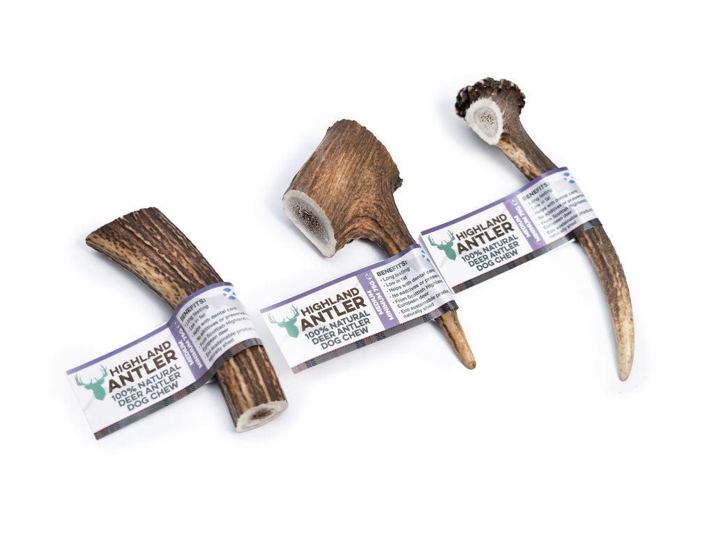 Medium Antler (min 75g)