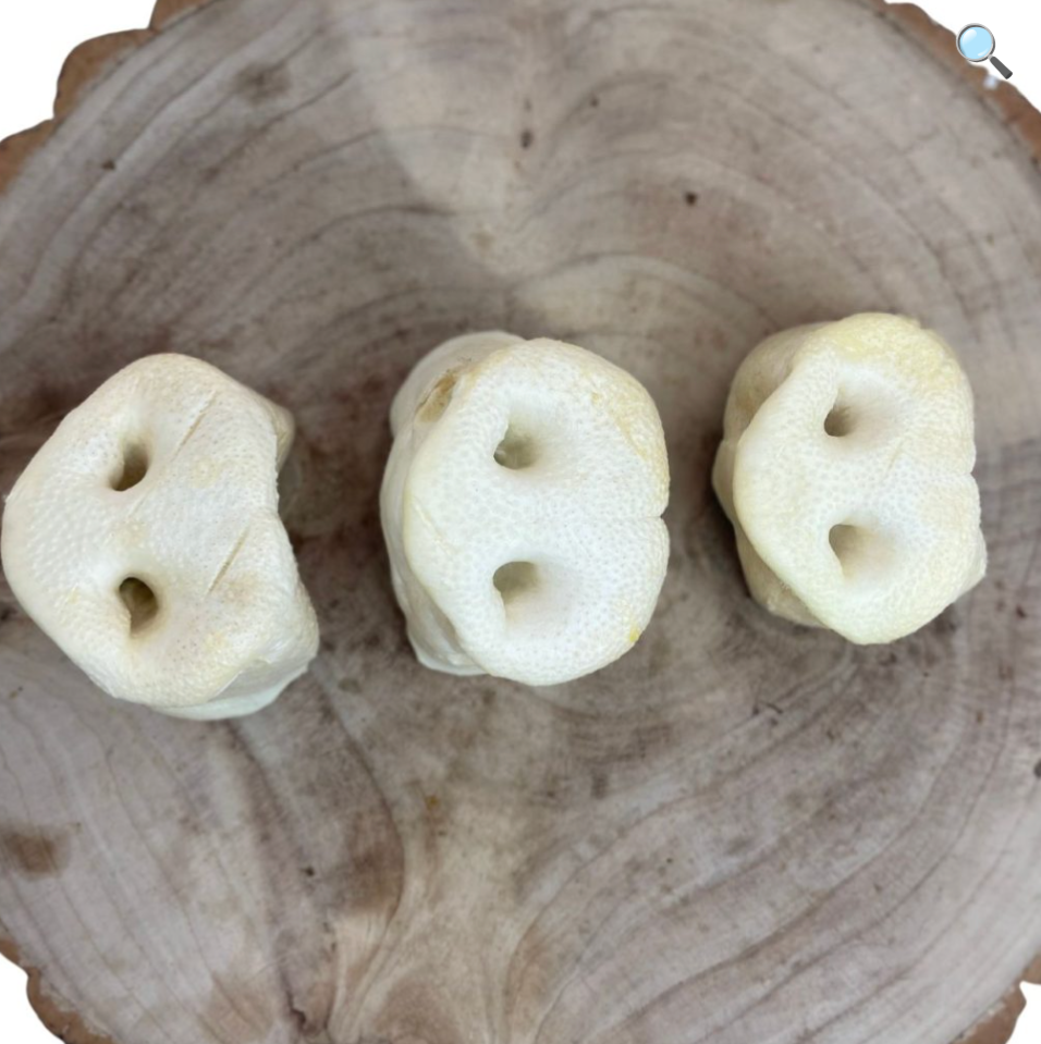 Puffed Pig Snout