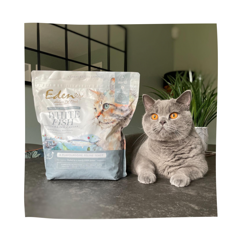 Feline Feast White Fish & Herring Caviar 1.5KG