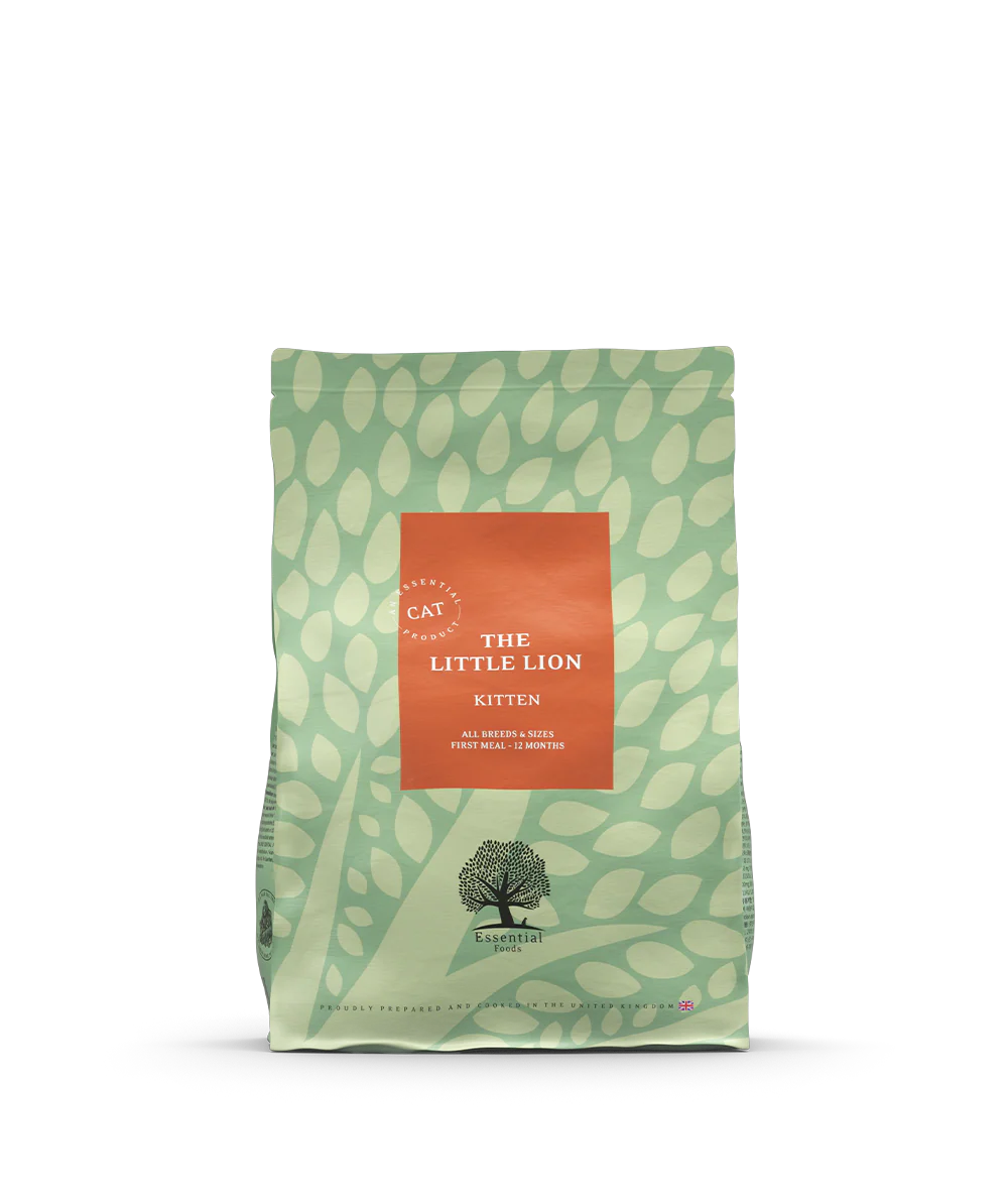 Essential - The Little Lion