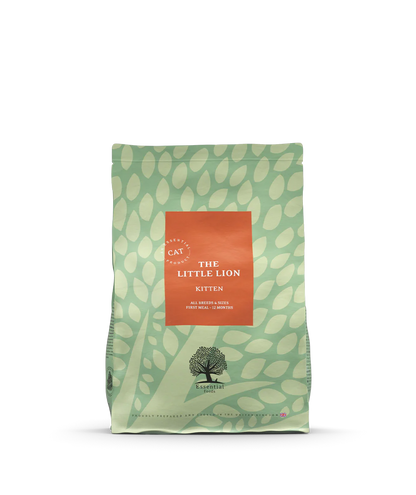 Essential - The Little Lion