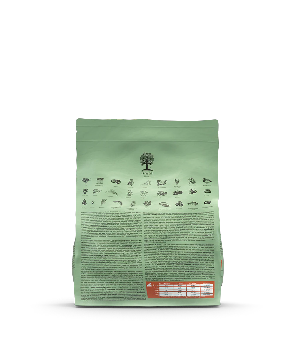 Essential - The Little Lion