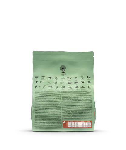 Essential - The Little Lion