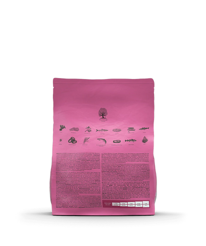 Essential - The Panther