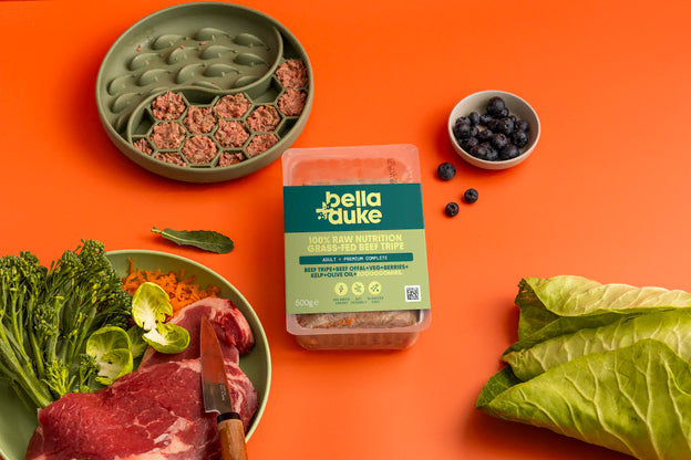 Adult- Beef Tripe and Beef Offal