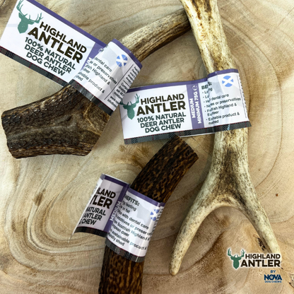 Medium Antler (min 75g)