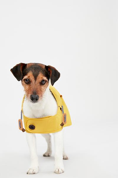 Joules - Antique Gold Raincoat