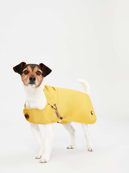Joules - Antique Gold Raincoat