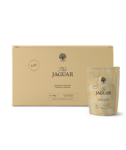 Essential - The Jaguar Pate