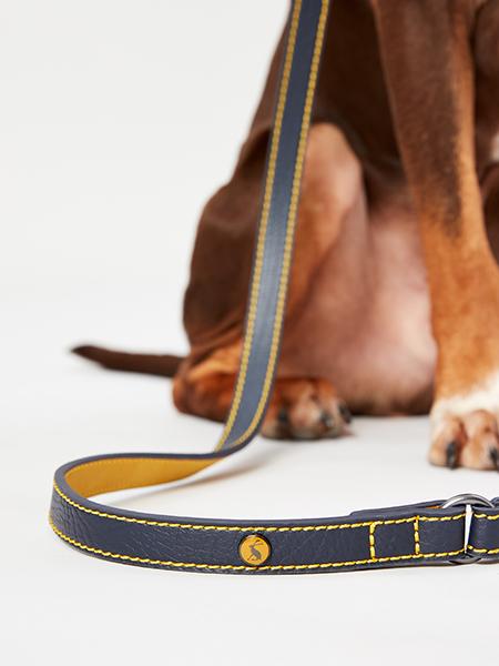 Joules - Navy Leather Lead