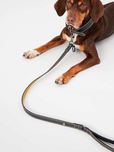 Joules - Navy Leather Lead