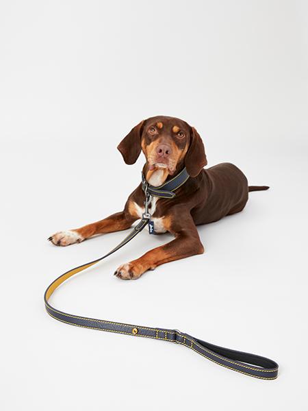 Joules - Navy Leather Lead