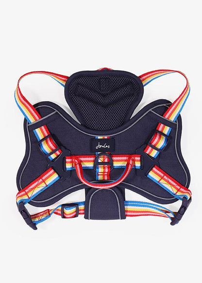 Joules - Rainbow Dog Harness