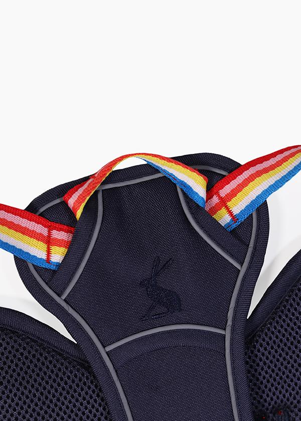 Joules - Rainbow Dog Harness