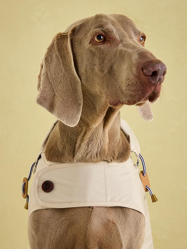 Joules - Sandshell Raincoat