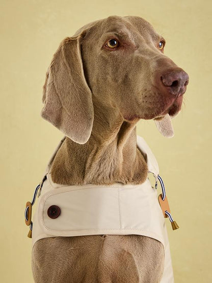 Joules - Sandshell Raincoat