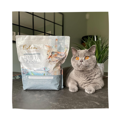 Feline Feast White Fish & Herring Caviar 1.5KG