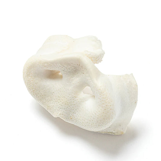 Puffed Pig Snouts