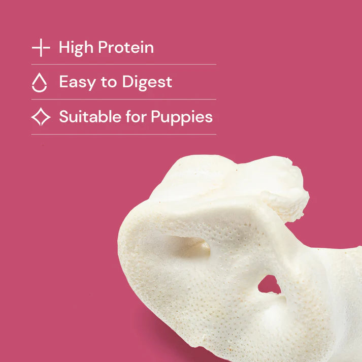Puffed Pig Snouts